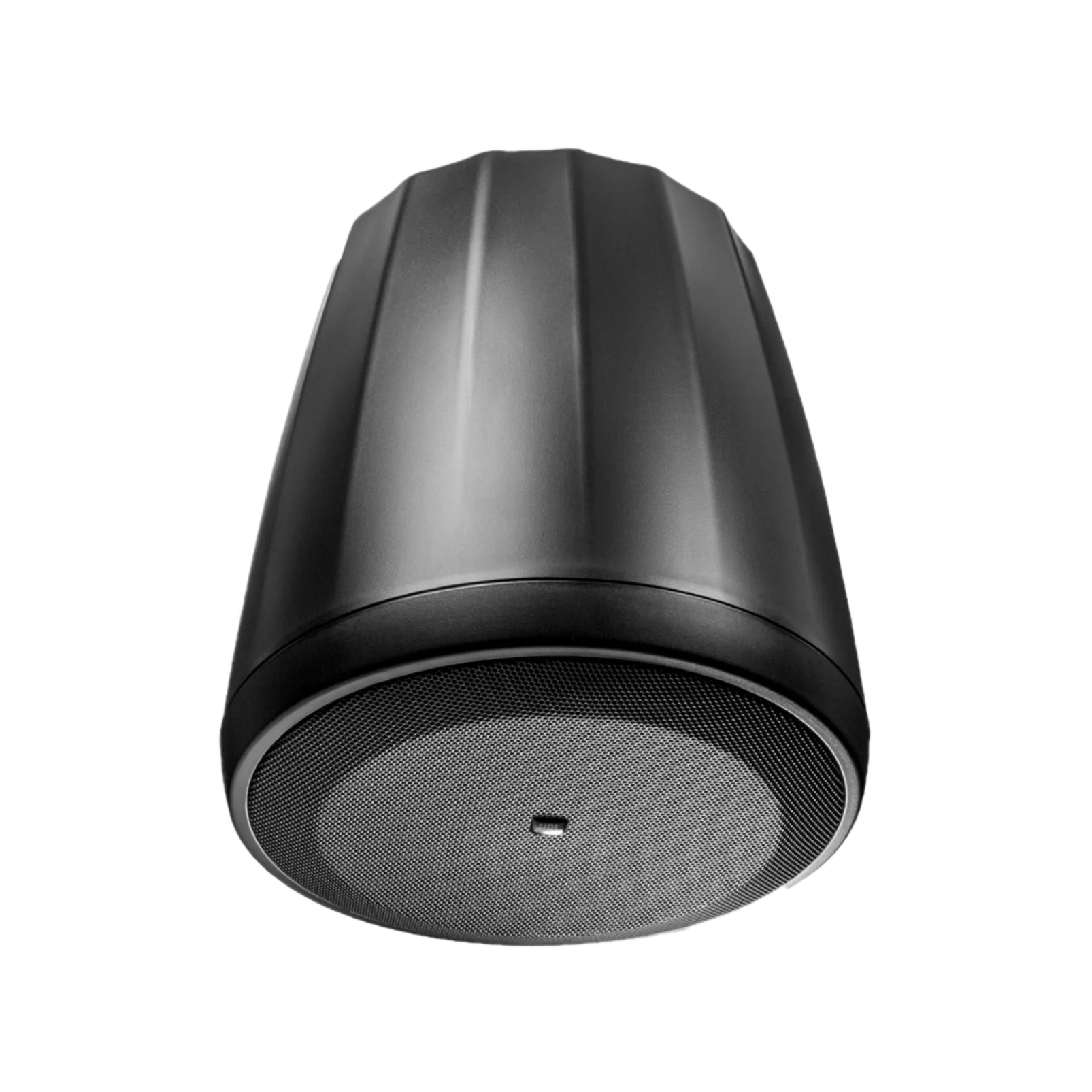 JBL Control 64P/T (B-Stock)