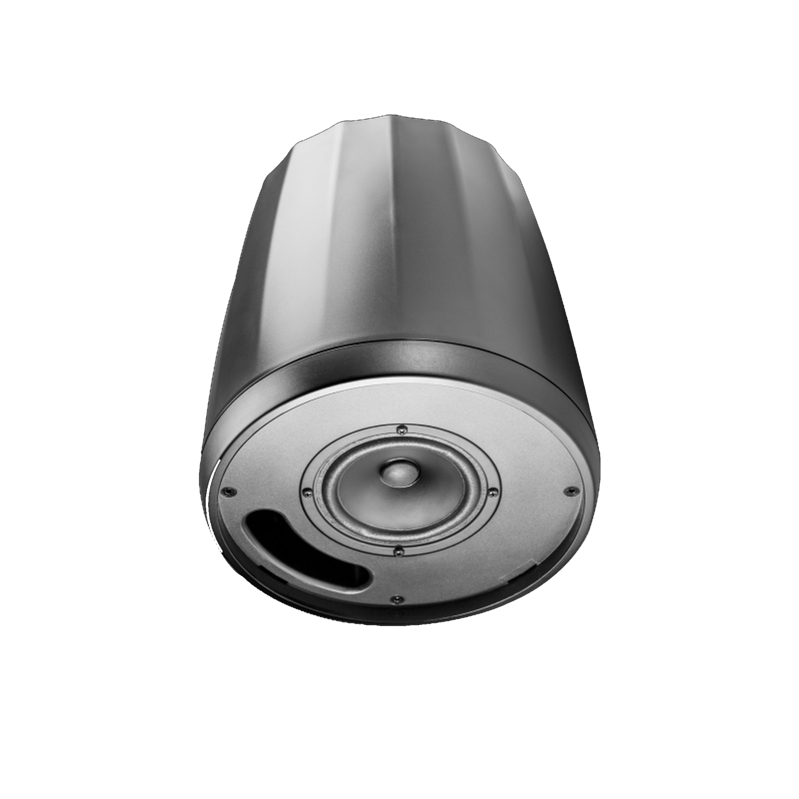 JBL Control 64P/T (B-Stock) - Image 2